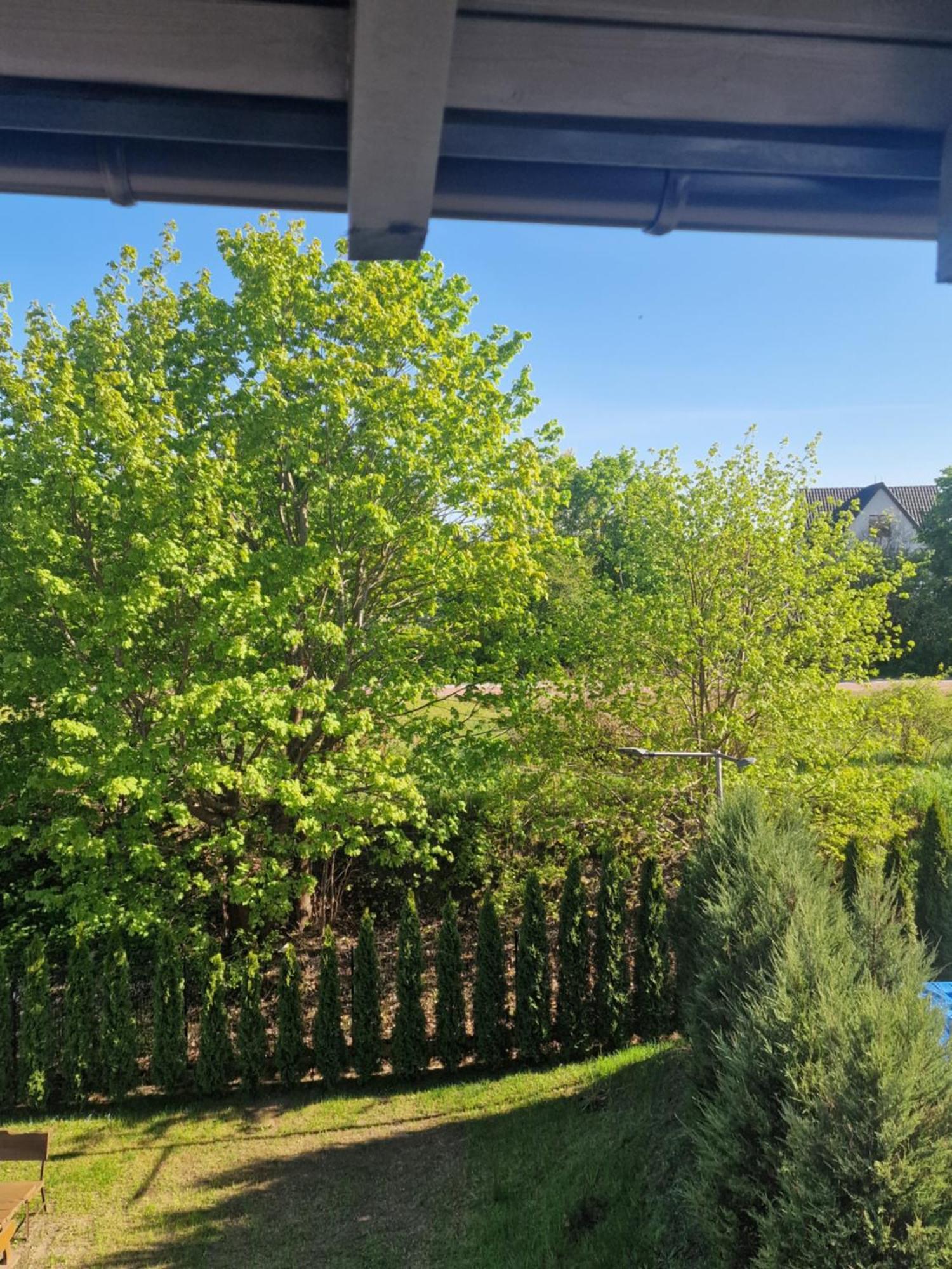 Apartamenty Mazury مارونجوفو المظهر الخارجي الصورة